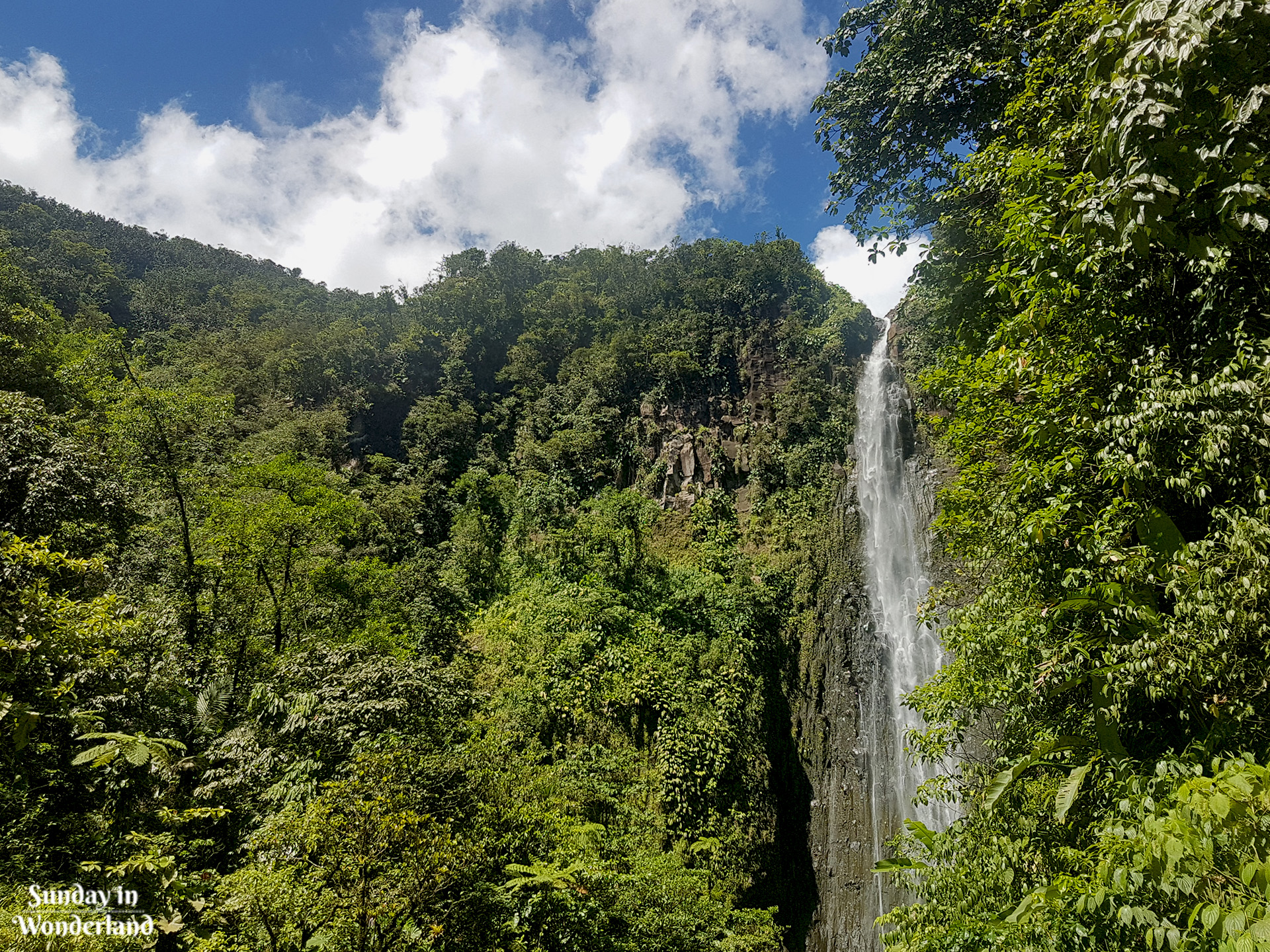 Cudowny widok na drugi wodospad Carbet z docelowego punktu obserwacyjnego - Gwadelupa - Sunday in Wonderland Blog