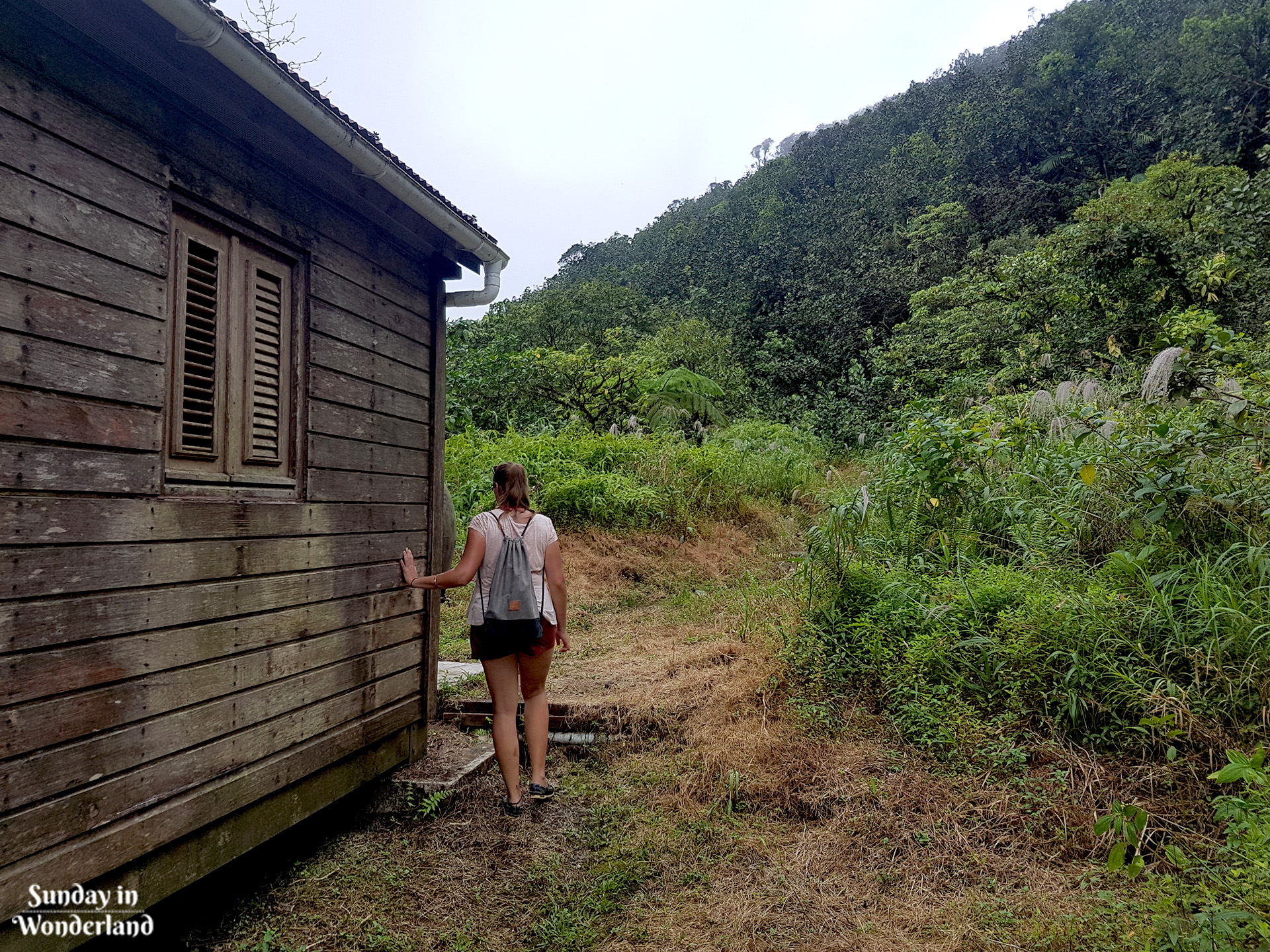 Creepy shelter on the mountain side - La Citerne - Guadeloupe - Sunday in Wonderland Blog