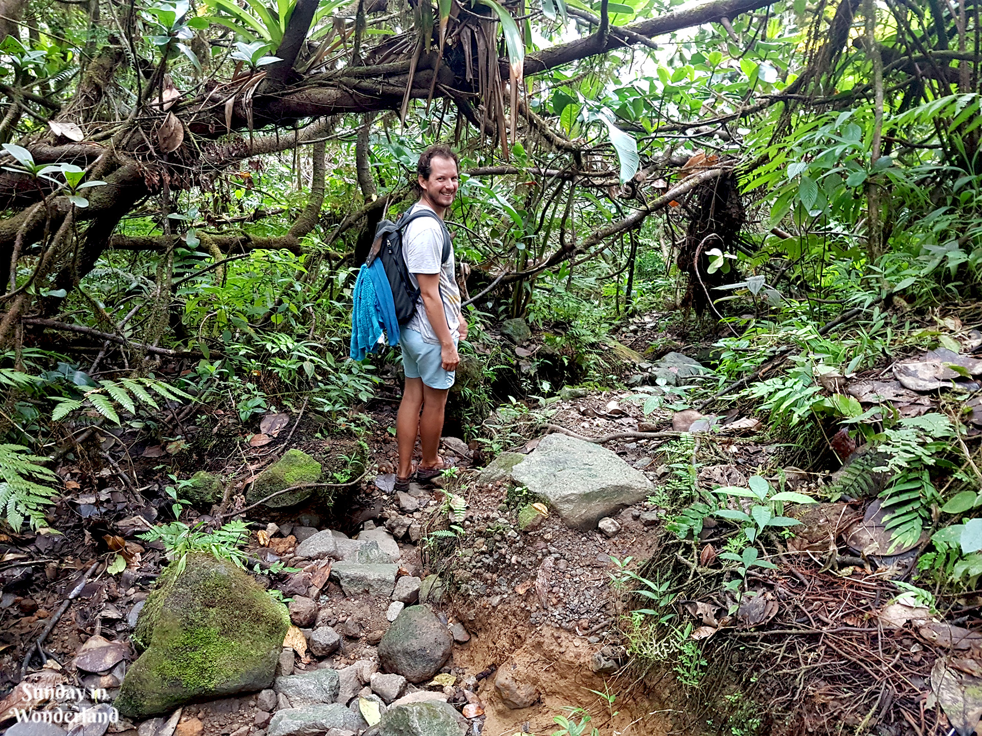 On the path to La Citerne - Guadeloupe - Sunday in Wonderland Blog