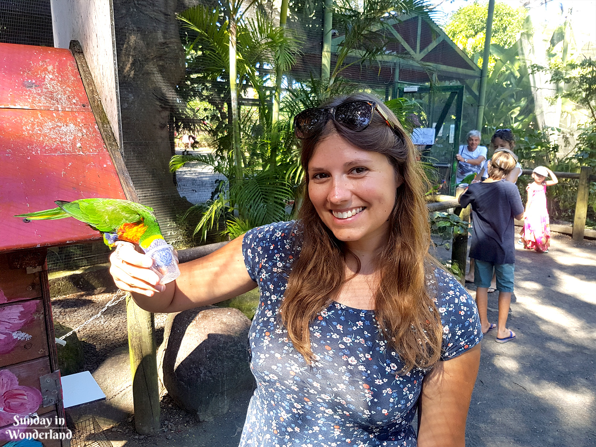 A girl holding and feeding lorikeet parrot in Botanical Garden in Deshaies in Guadeloupe - Sunday in Wonderland Blog