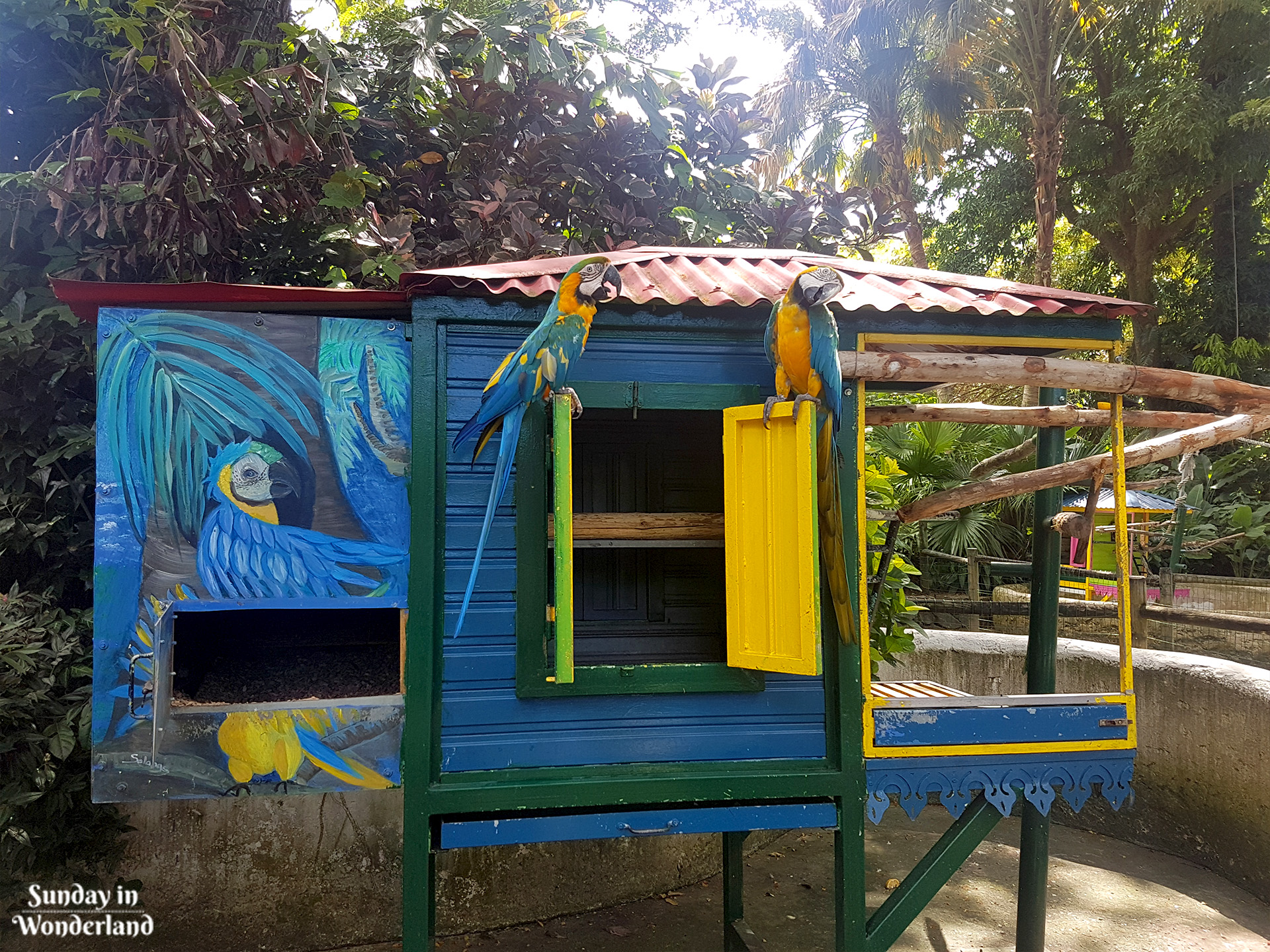 Two Ara parrots in a colorful house in Botanical Garden in Deshaies in Guadeloupe - Sunday in Wonderland Blog