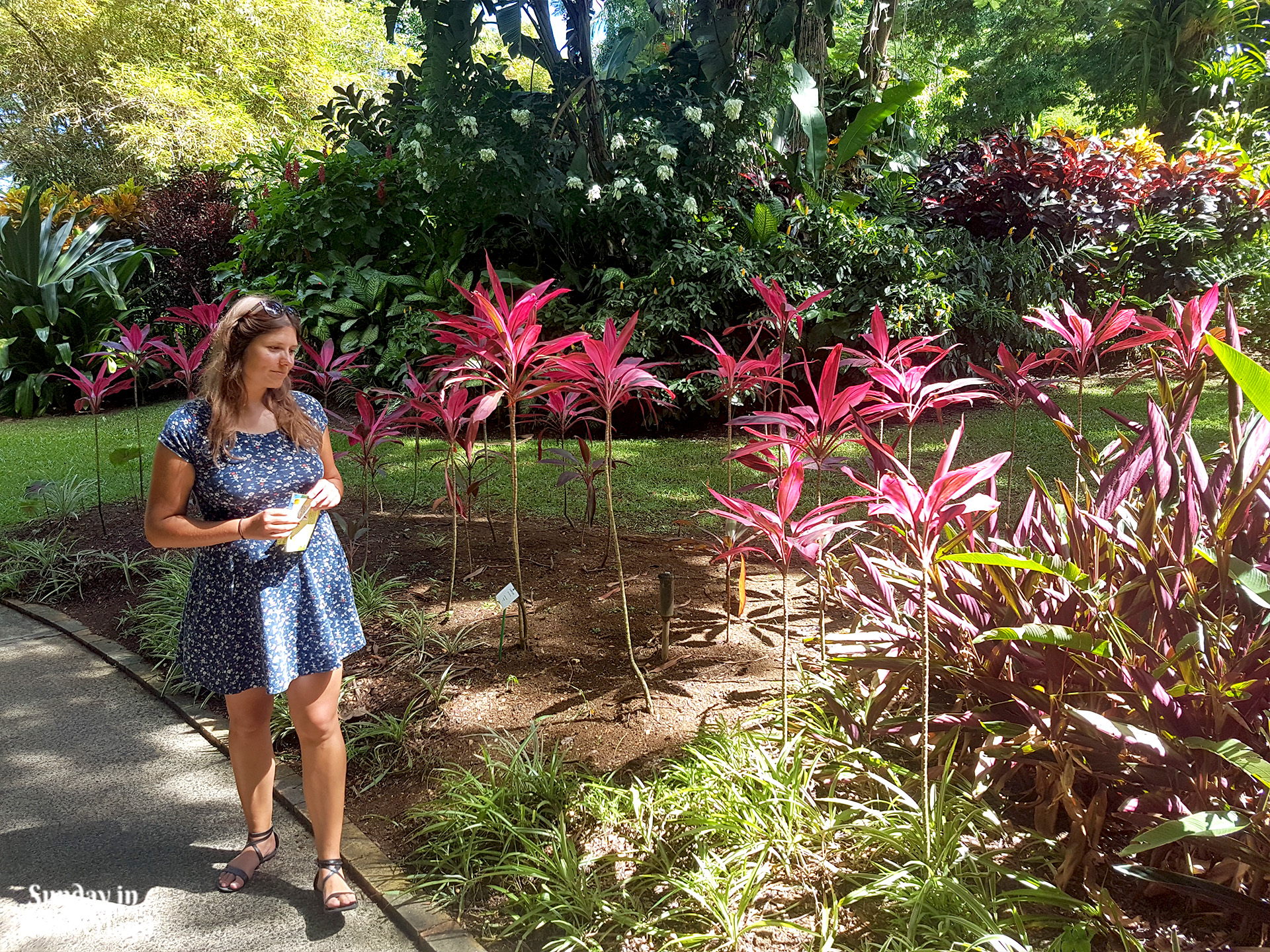 A girl walking in Botanical Garden in Deshaies in Guadeloupe - Sunday in Wonderland Blog