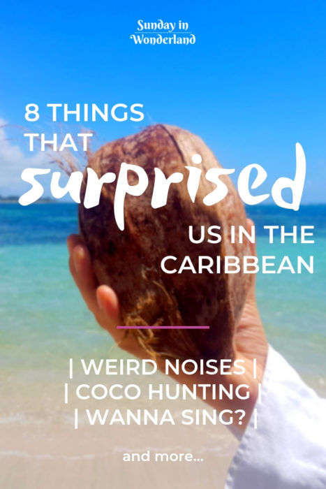 8 Things that surprised us in the Caribbean - What to expect in Guadeloupe and Martinique?