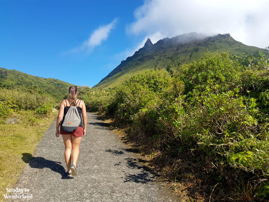 Climbing La Soufrière - the heighest volcano peak in Lesser Antilles - Sunday in Wonderland Travel Blog