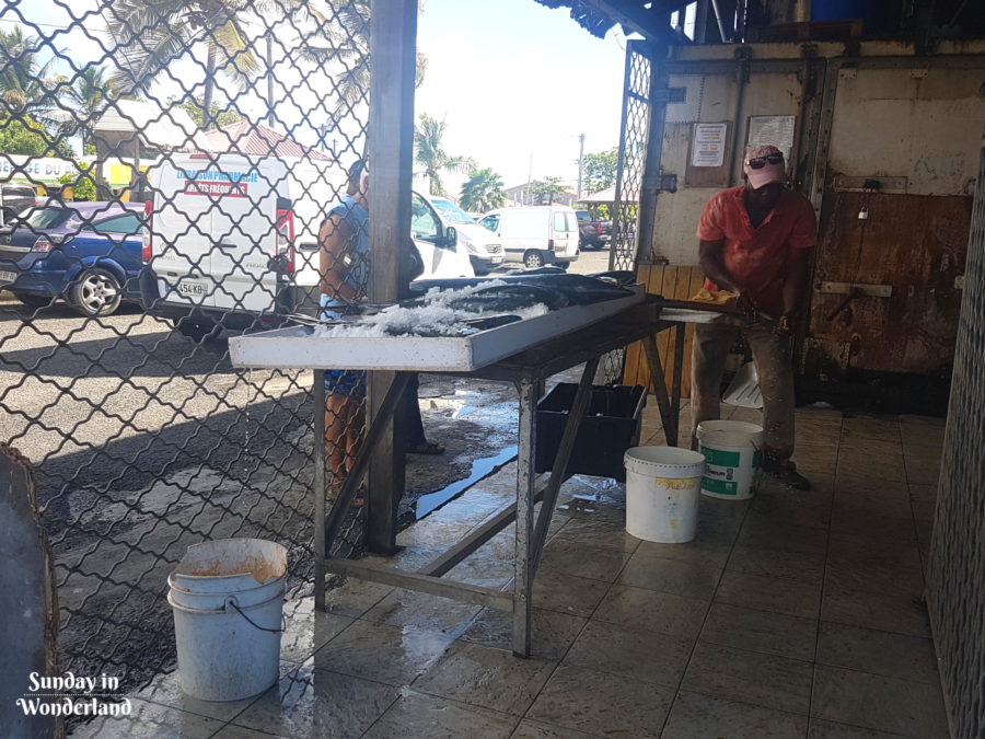 Sprzedaż ryb w Saint-Francois - Gwadelupa - Karaiby - Sunday in Wonderland