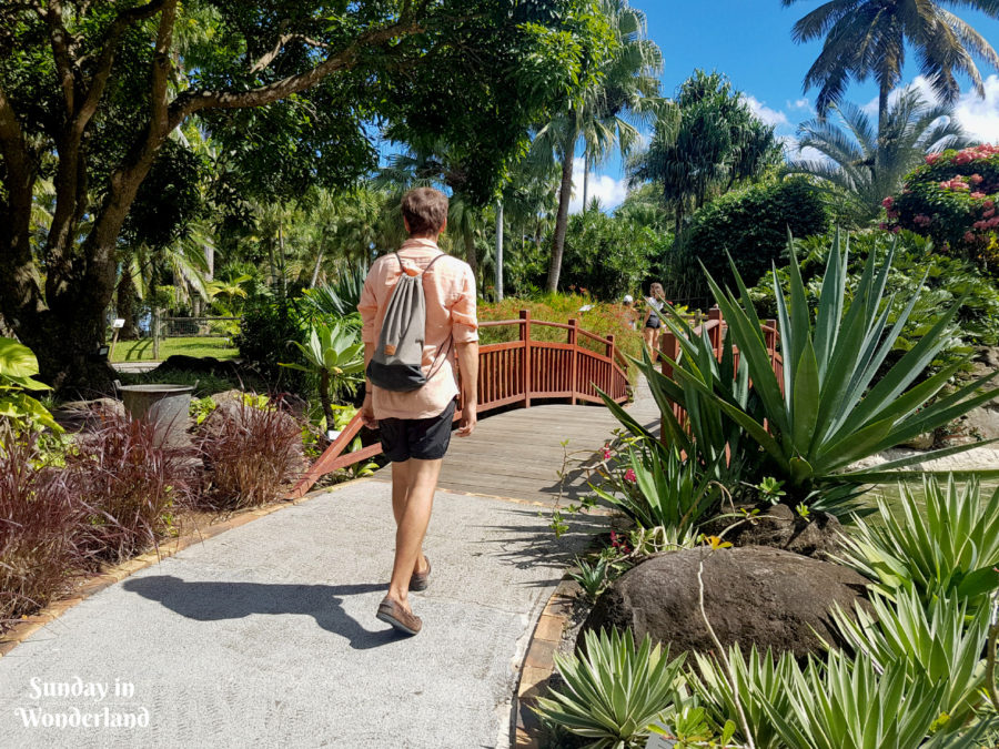 Deshaies Botanical Garden - walking amon the greenery - Guadeloupe, Caribbean - Sunday in Wonderland
