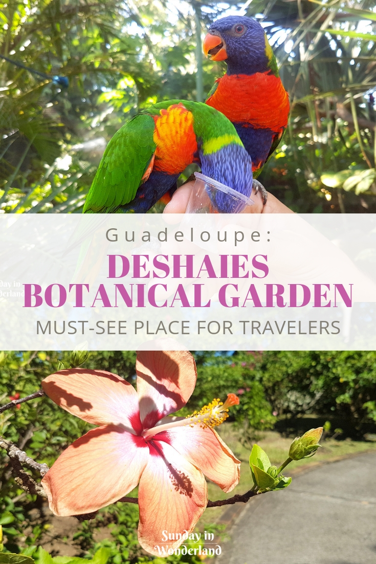 Deshaies Botanical Garden in Guadeloupe - Sunday In Wonderland Travel Blog