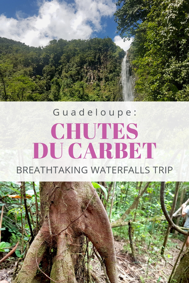 The trail of Chute du Carbet - Carbet Falls - in Guadeloupe, the Caribbean