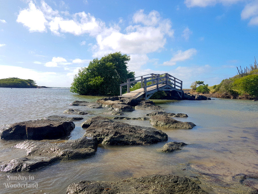 How to get to La Savane des Pétrifications in Martinique - Cross the bridge! - Sunday In Wonderland Travel Blog