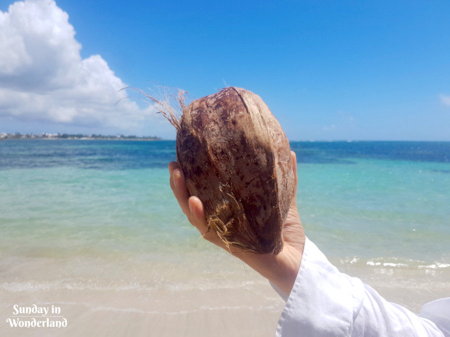 Ultimate guide to Guadeloupe travel - a coconut from the beach - Sunday In Wonderland Travel Blog