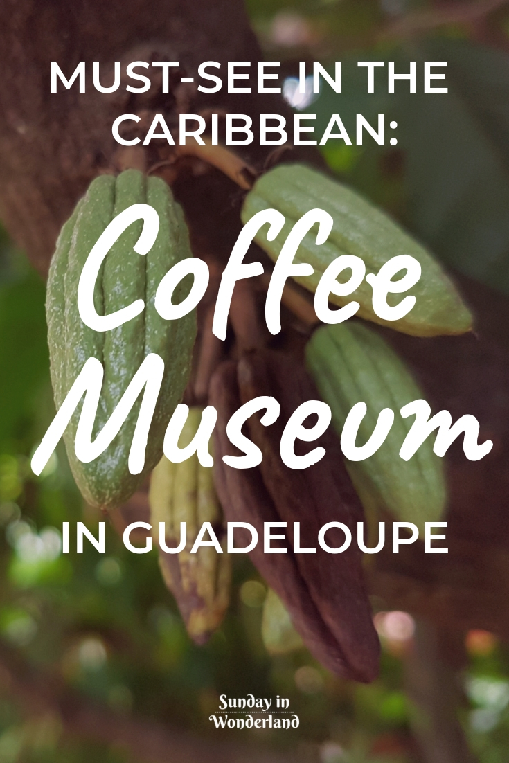 Things to see in Guadeloupe: the coffee museum