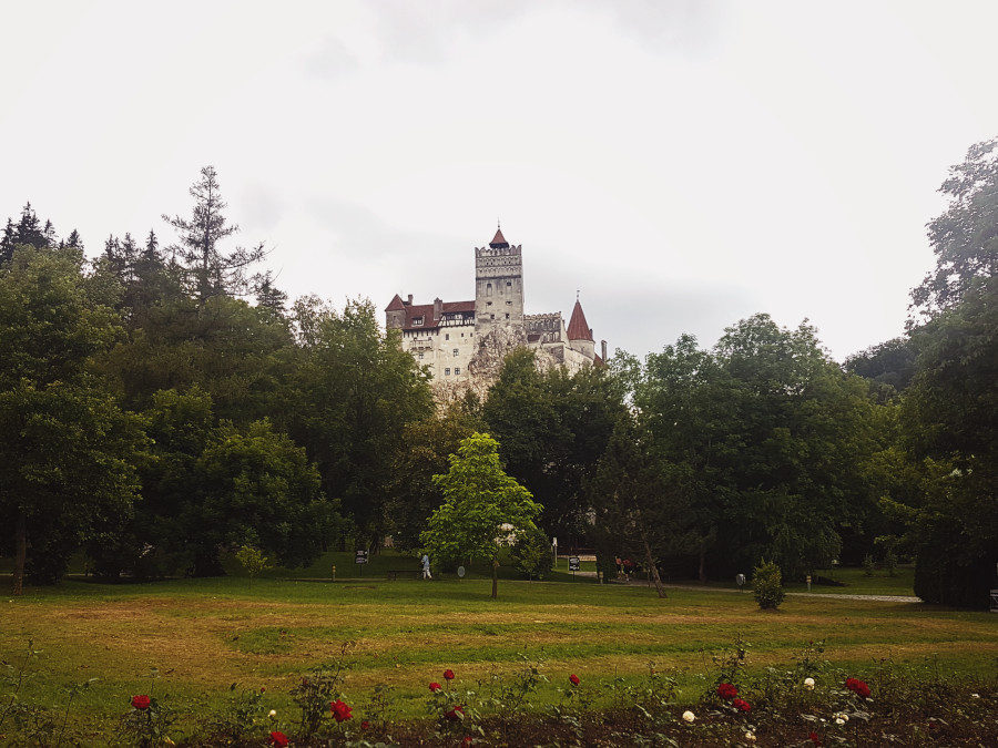 Bran Castle in Romania seen from the distance with trees and lawn in front