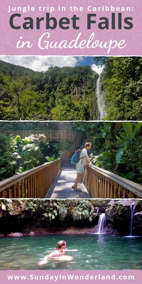 Carbet Falls in Guadeloupe: the jungle trail description