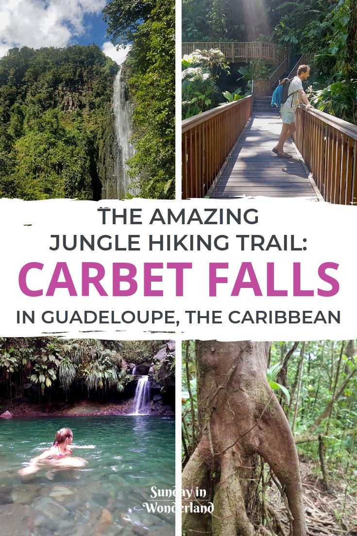 Jungle hiking trail: Caribbean waterfalls in Guadeloupe - Carbet Falls