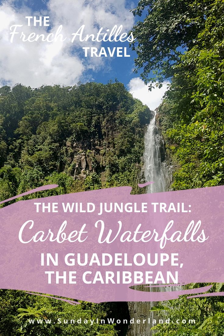 The wild jungle trail in the Caribbean: Chutes du Carbet in Guadeloupe: Carbet Falls