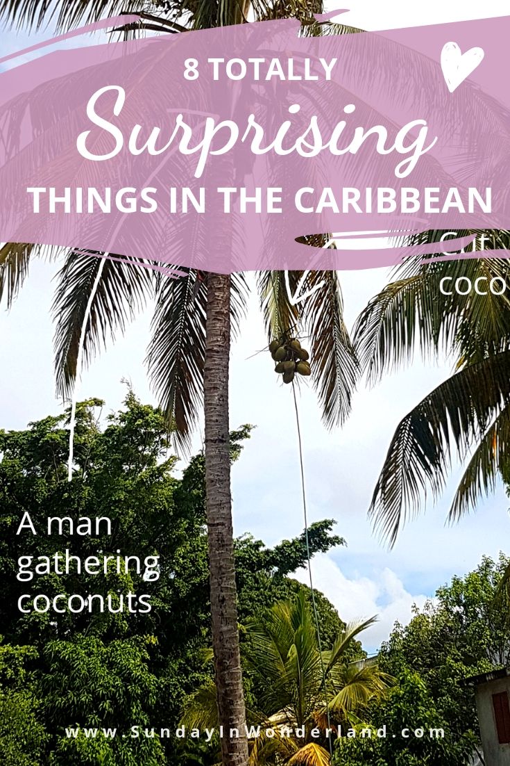 8 totally surprising things in the Caribbean