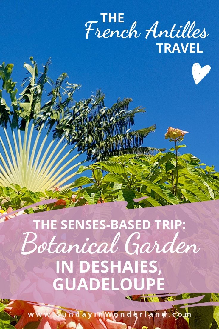 The senses-based trip to botanical garden in Deshaies - Guadeloupe, the Caribbean