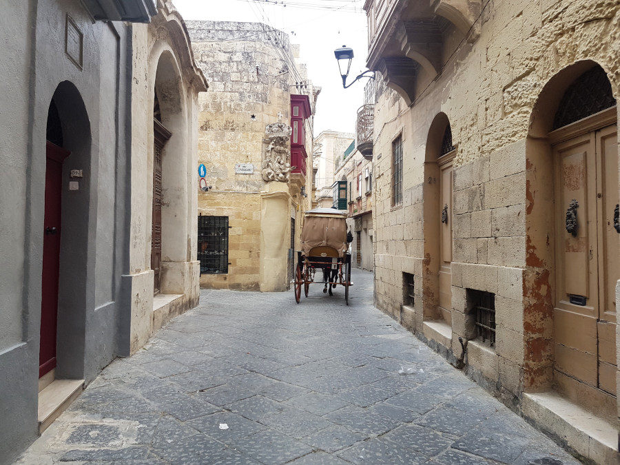 The horse carriage in Rabat in Malta