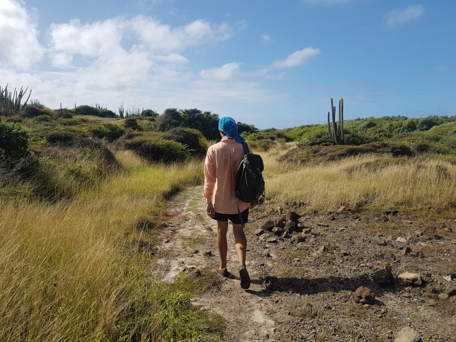 Walking through La Savane des Petrifications - the best things to do in Martiniquem, the Caribbean