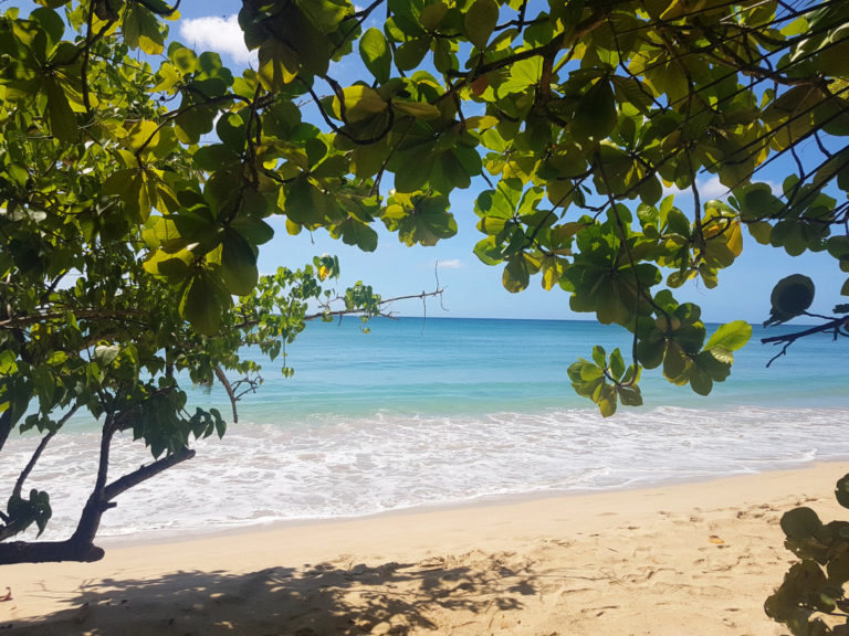 Beautiful ocean view in Martinique - best things to do in Martinique