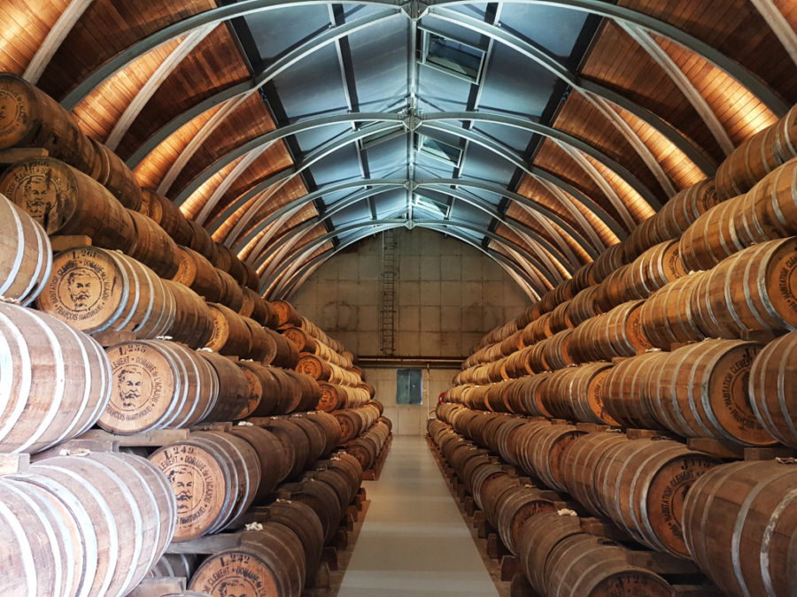 The hangar filled with barrels in a rum distillery in Habitation Clement