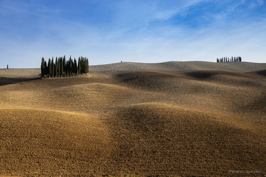 Cypruses in Val d'Orcia - the most magical Tuscany photography spots