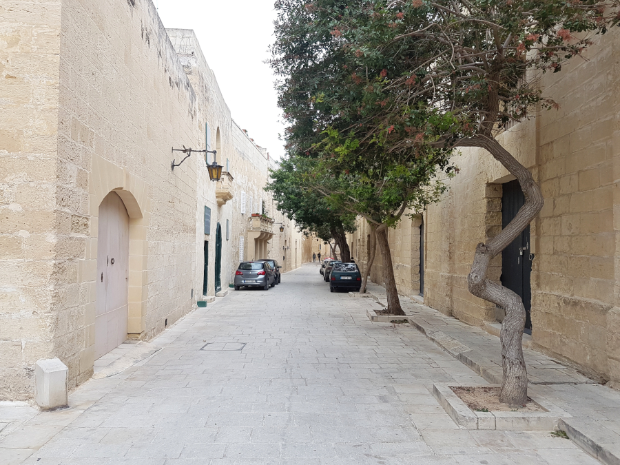 Stone street with trees in Mdina, Malta