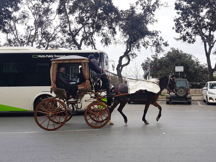 Horse Carriage and public bus in Malta