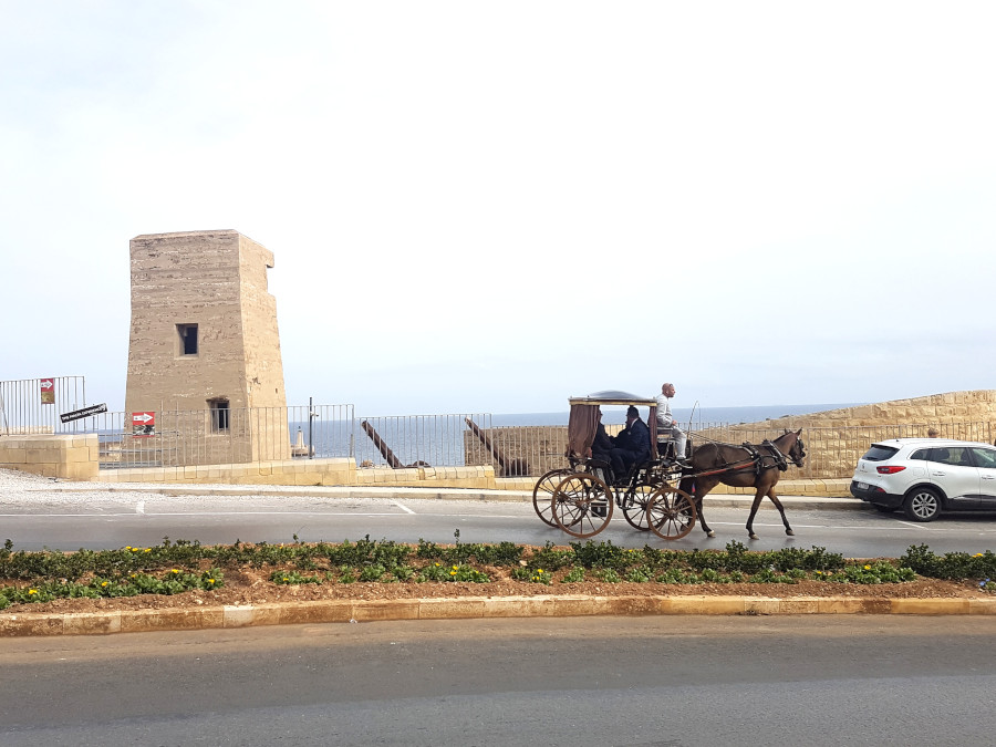 The horse carriage in Malta