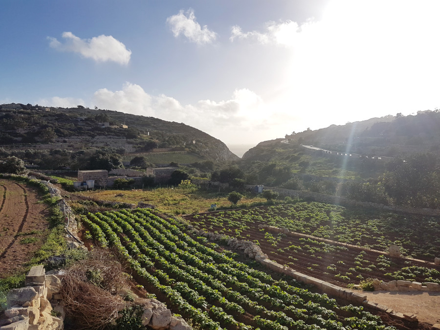 The country side and fields in Malta